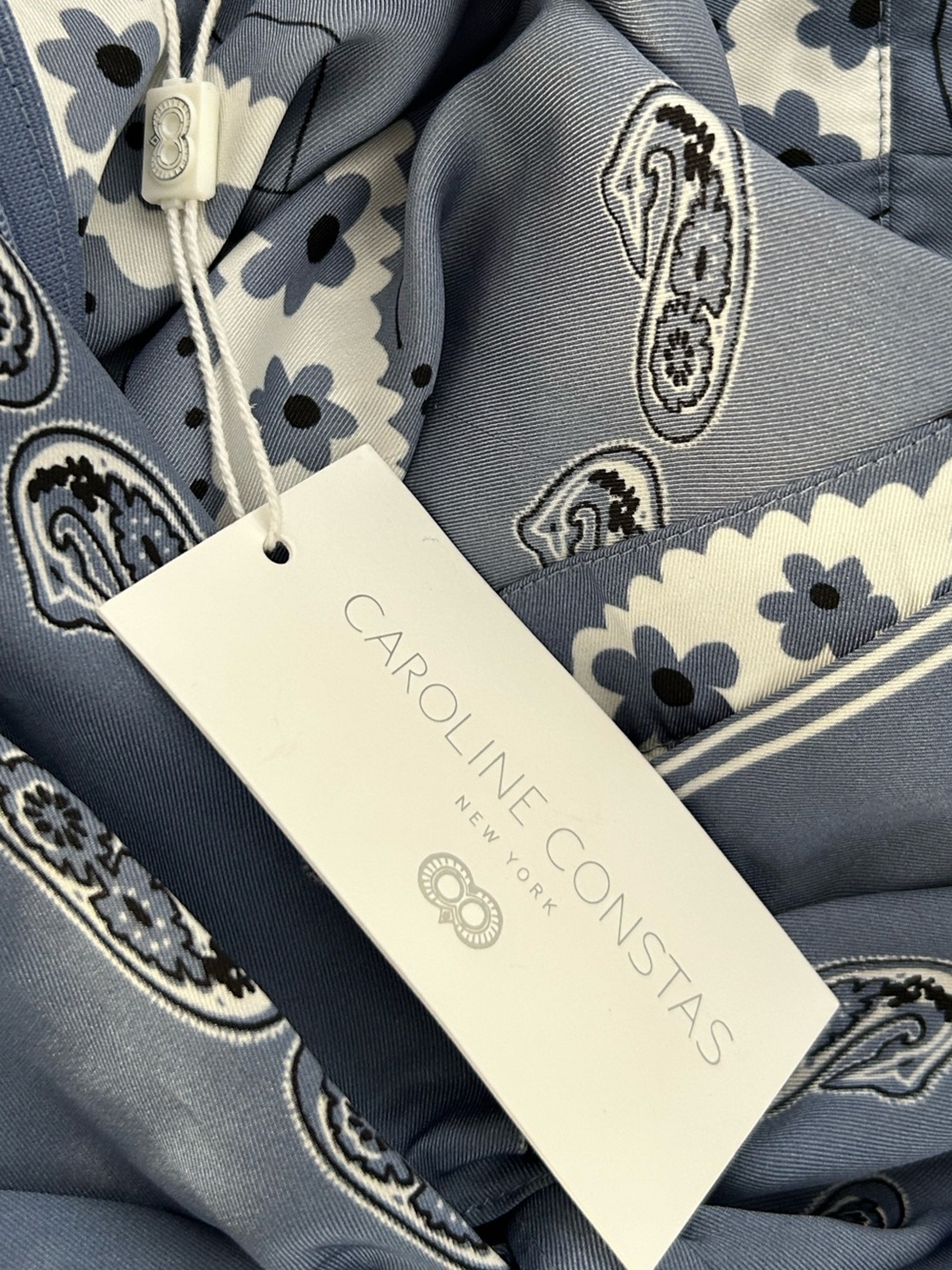 Caroline Constas Blue Paisley Floral Twist Front Maxi Dress - Picture 9 of 14